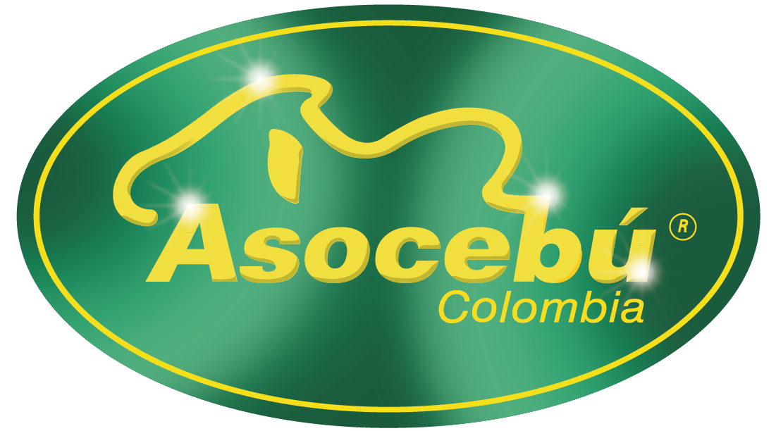 Asocebú